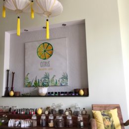 Citrus Health Spa – Hoi An, Vietnam