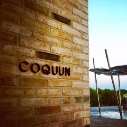 Coquun – Maitland, NSW, Australia